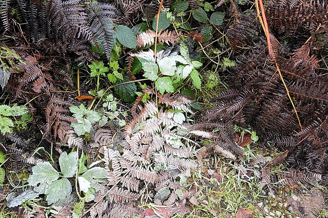 Aachener Landgraben - Elleterberg