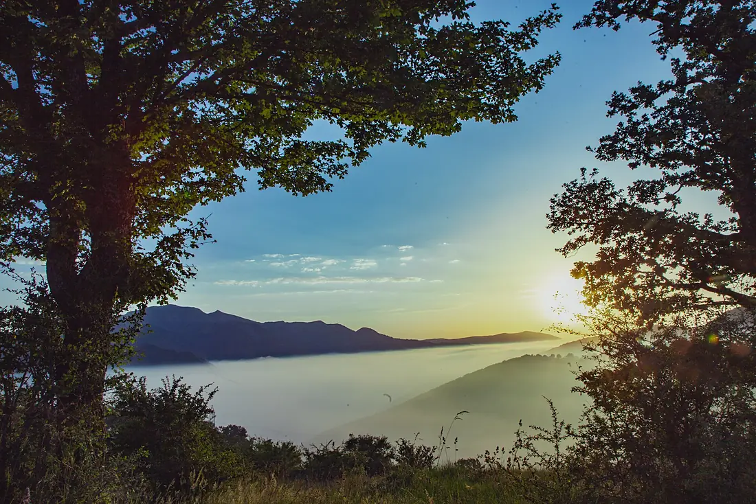 Cloud forest - Shahroud - panoramio