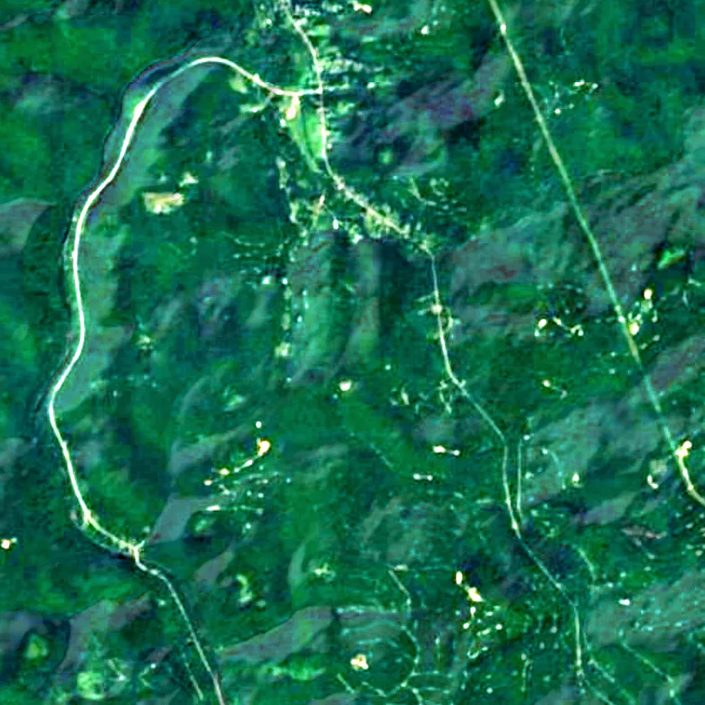 Allegheny National Forest seen from above (Sentinel-2)
