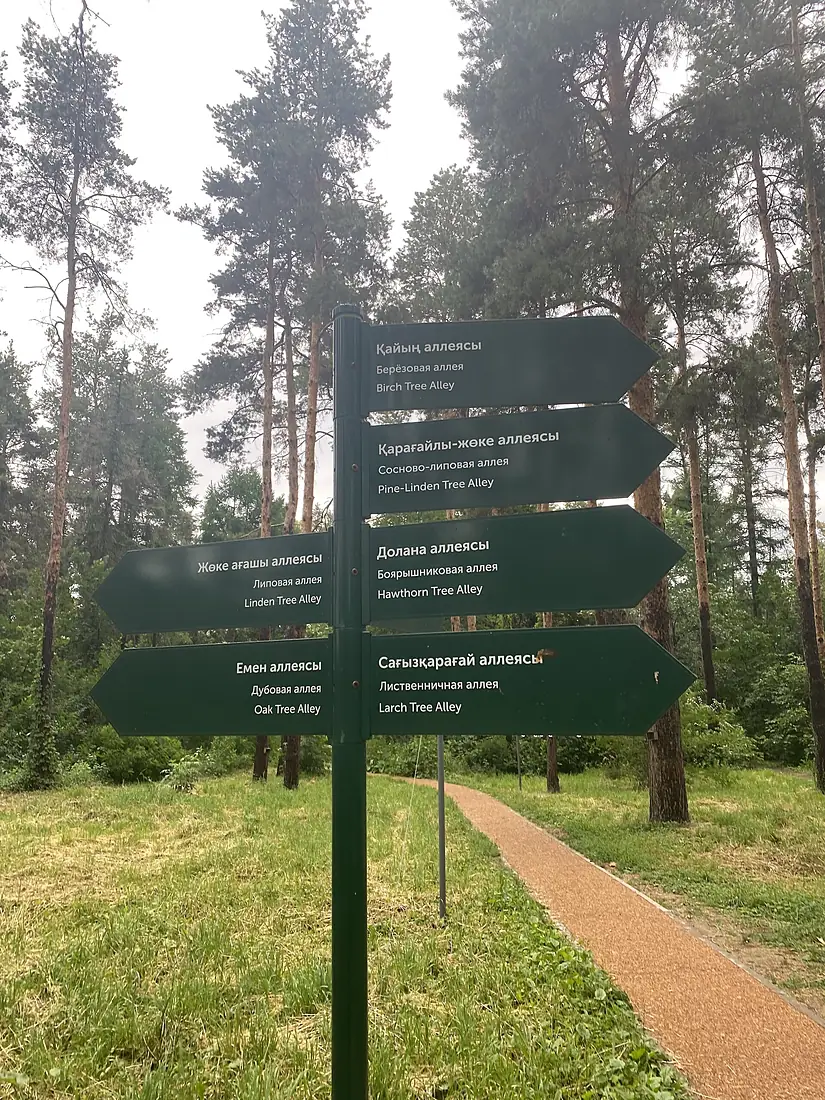 Almaty Botanical Garden - tree crossroads 2022-06-15