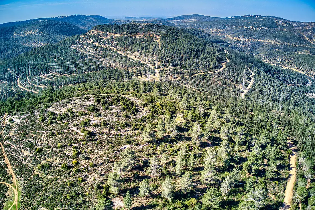 PikiWiki Israel 50526 aminadav forest