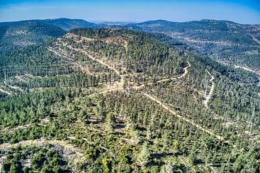 RekhesSorekAminadavForestJan272023 01