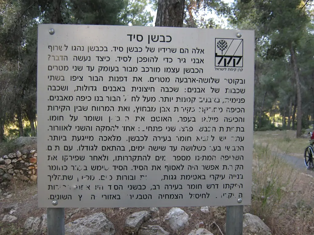 RekhesSorekAminadavForestJan272023 02