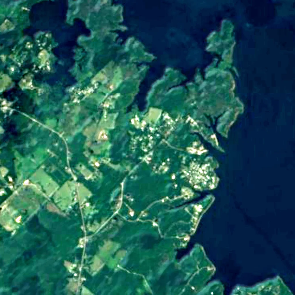 Angelina National Forest seen from above (Sentinel-2)