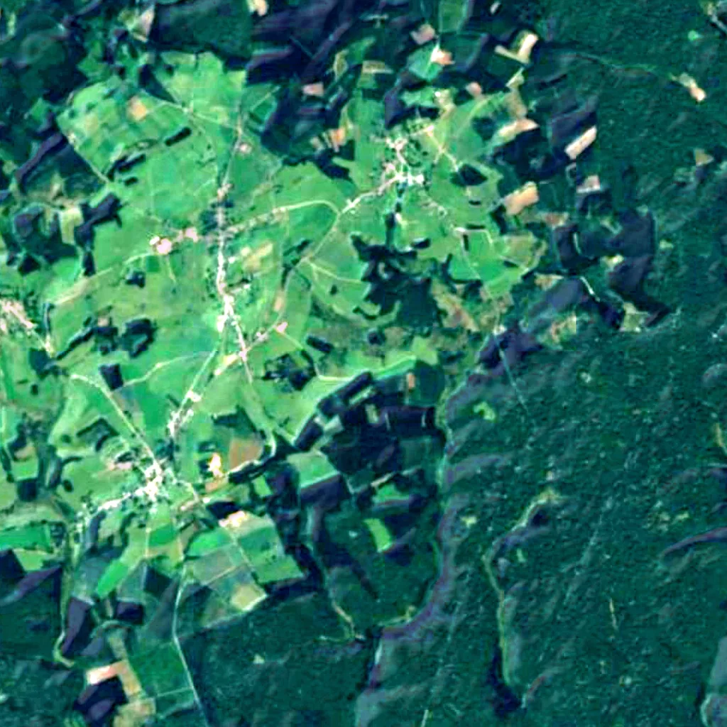 Anlier forest seen from above (Sentinel-2)