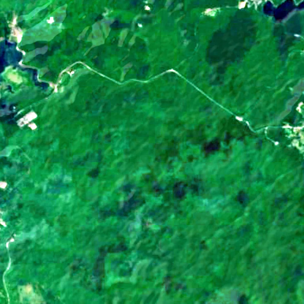 Aokigahara seen from above (Sentinel-2)