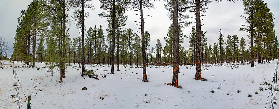 20181206-FS-APACHE-SITGREAVES-LSC-1526-180PANO