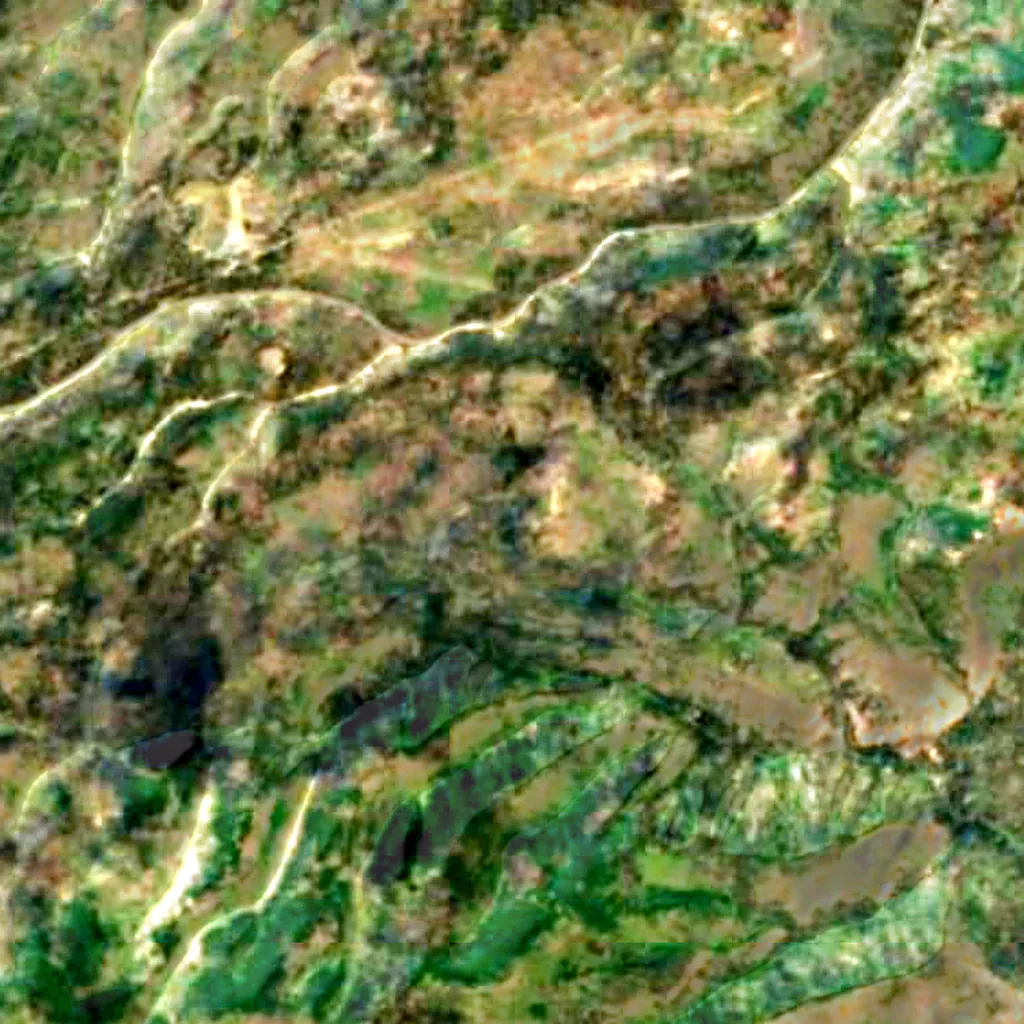 Apache–Sitgreaves National Forests seen from above (Sentinel-2)
