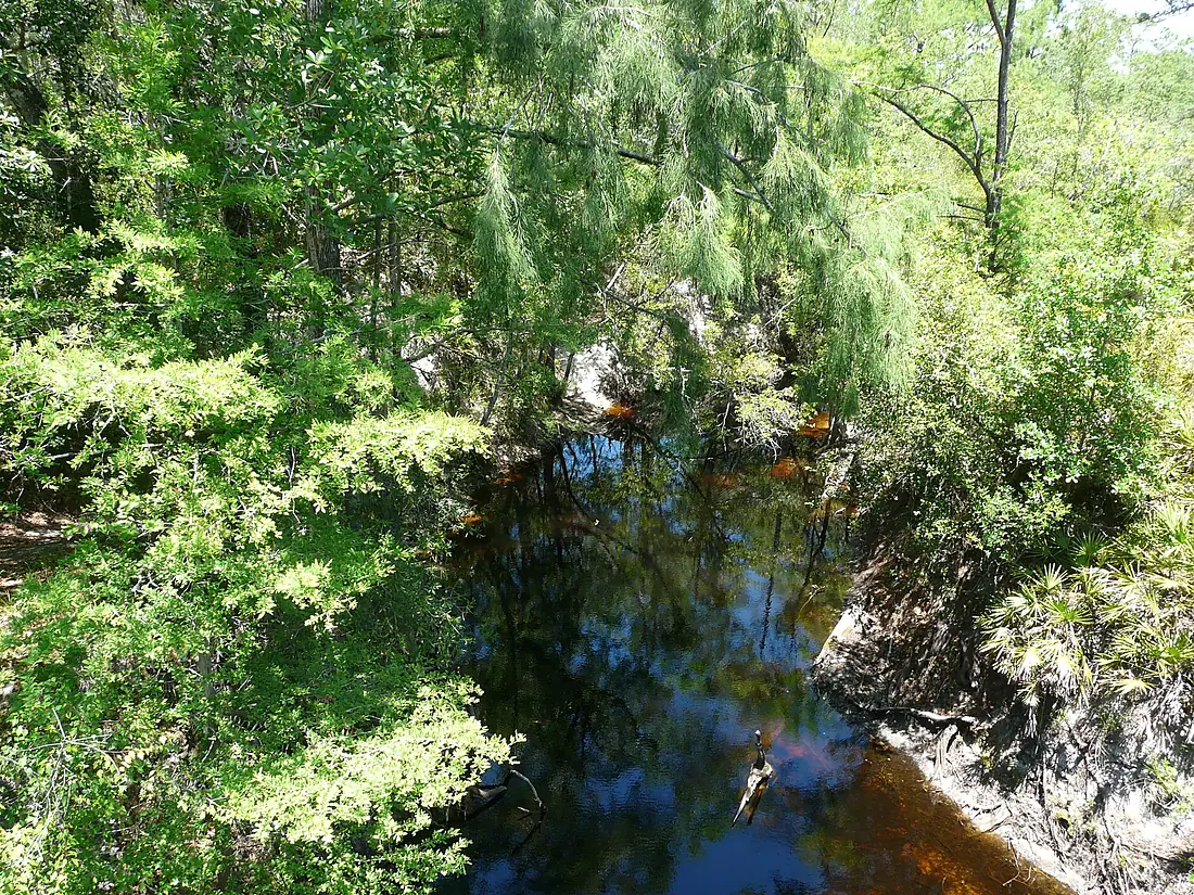 Sopchoppy River from FR329 bridge