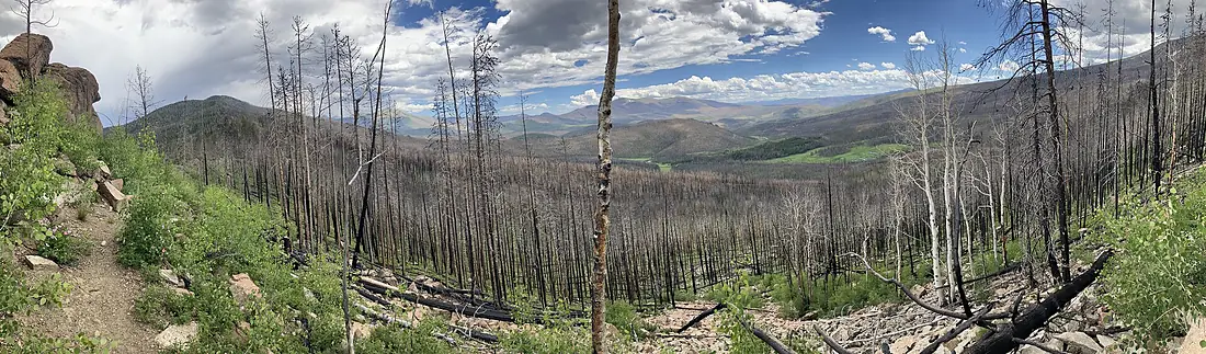 East Troublesome Fire burn scar in Arapaho National Forest 2024-06-29