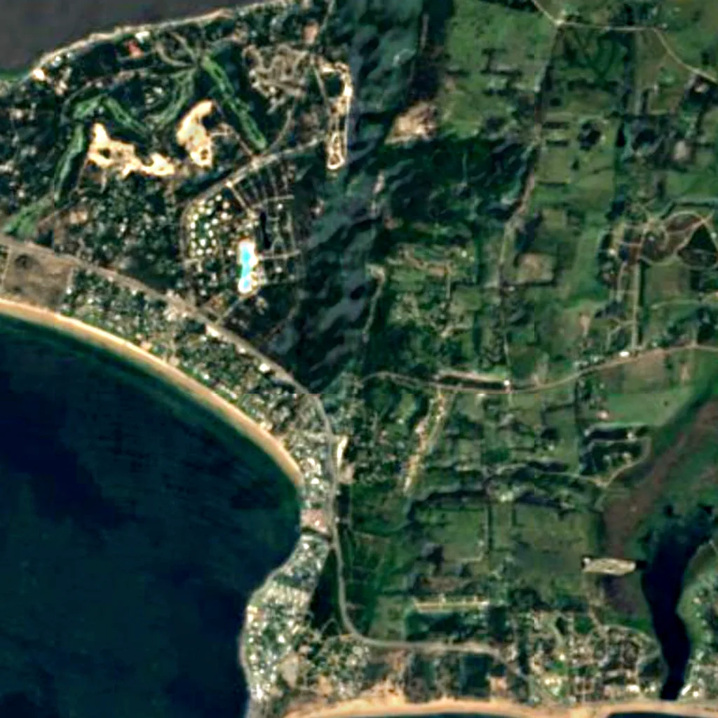 Arboretum Lussich seen from above (Sentinel-2)