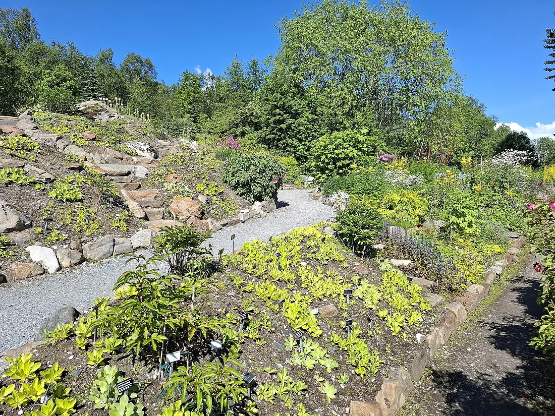 Arctic-Alpine Botanic Garden (Jul 2019) 01