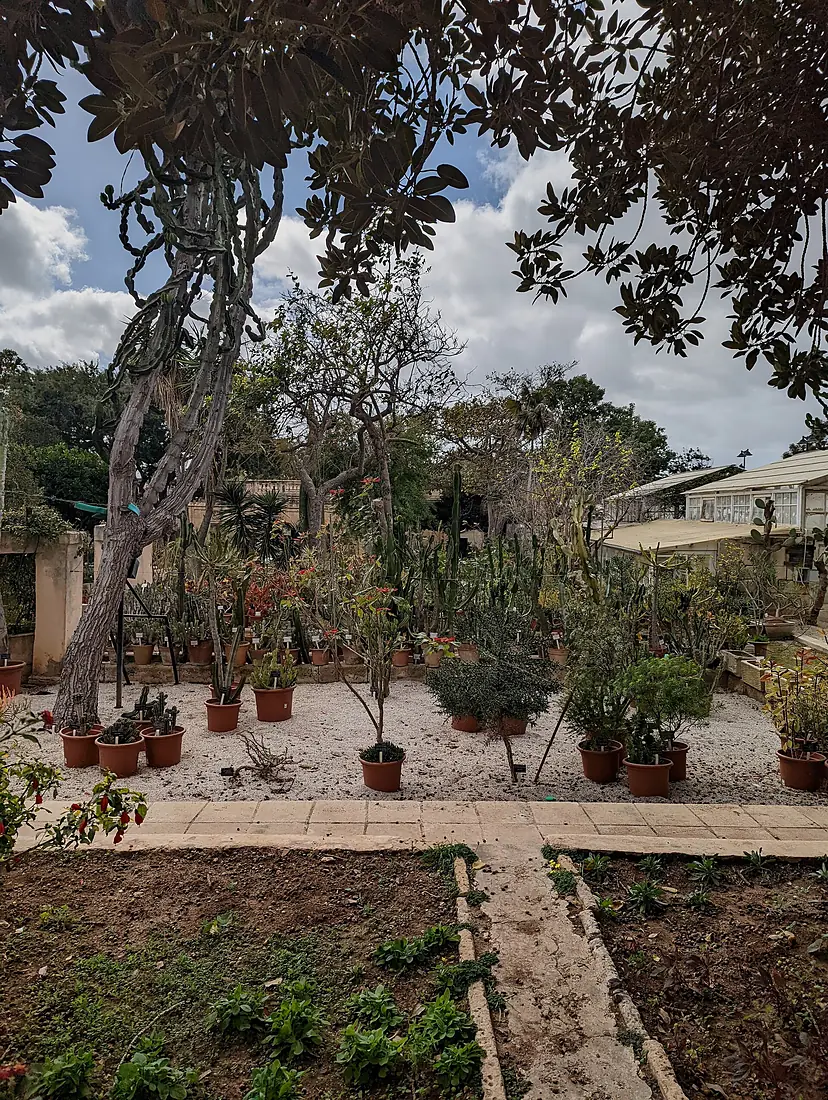 Argotti Botanic Gardens, Malta 2