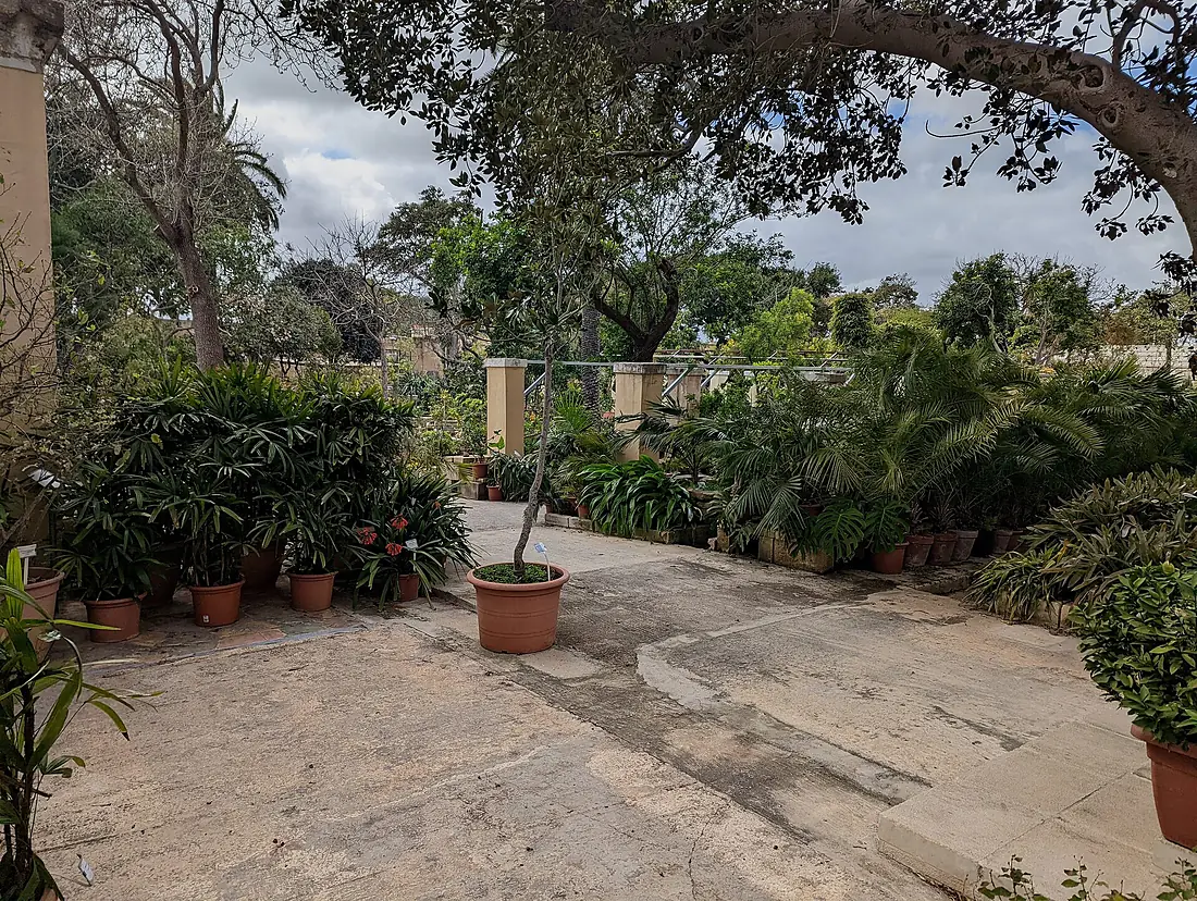 Argotti Botanic Gardens, Malta 3