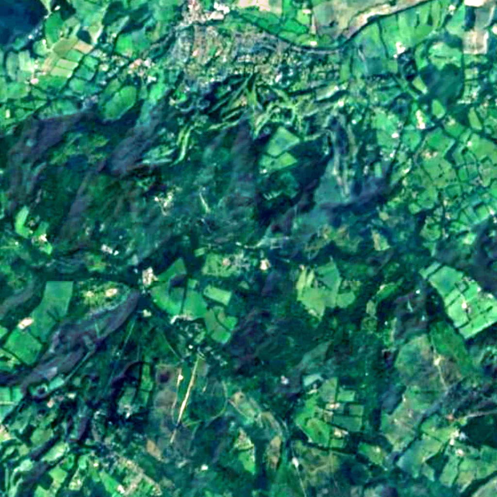 Ashdown Forest seen from above (Sentinel-2)