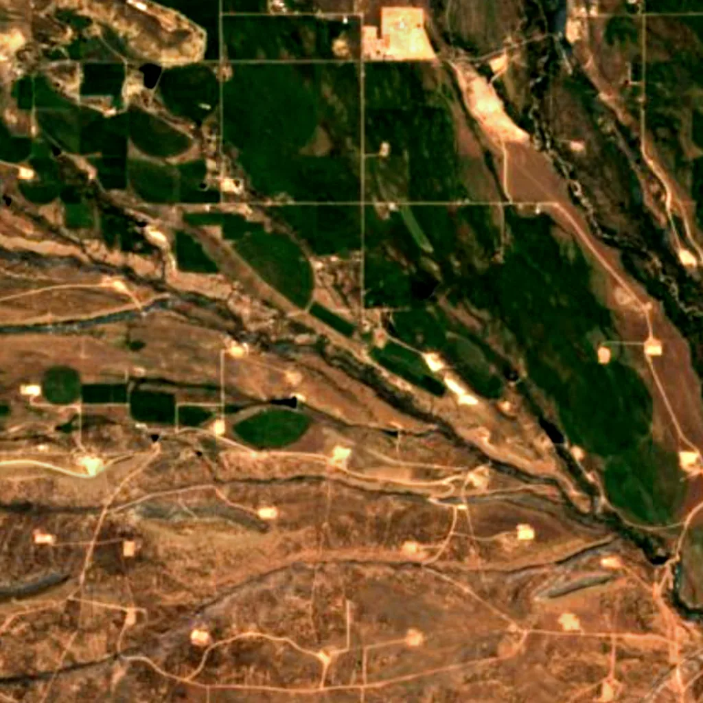 Ashley National Forest seen from above (Sentinel-2)