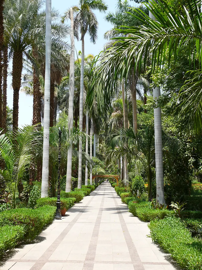Aswan Kitchener Island R01