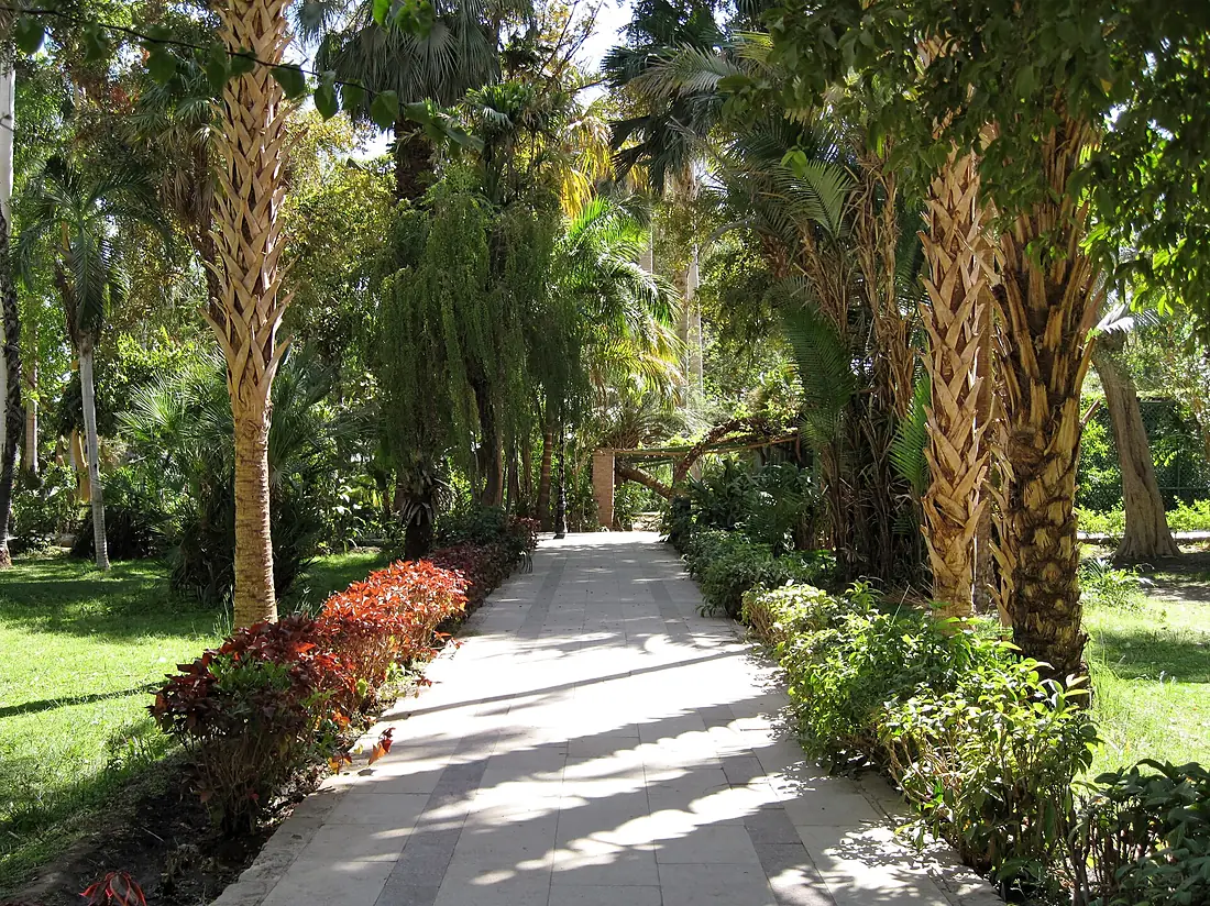 Aswan Kitchener Island R02