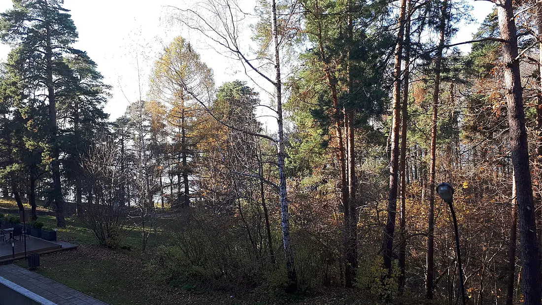 20211030 140223 October 2021 in Augustów