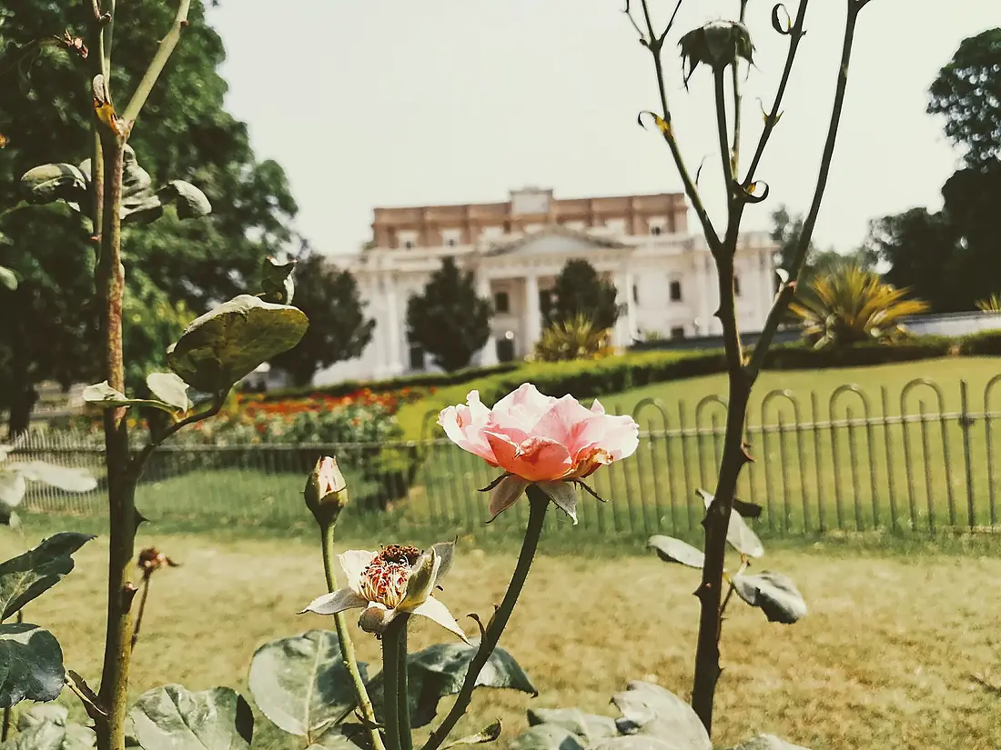 A May morning in Bagh e Jinnah, Lahore