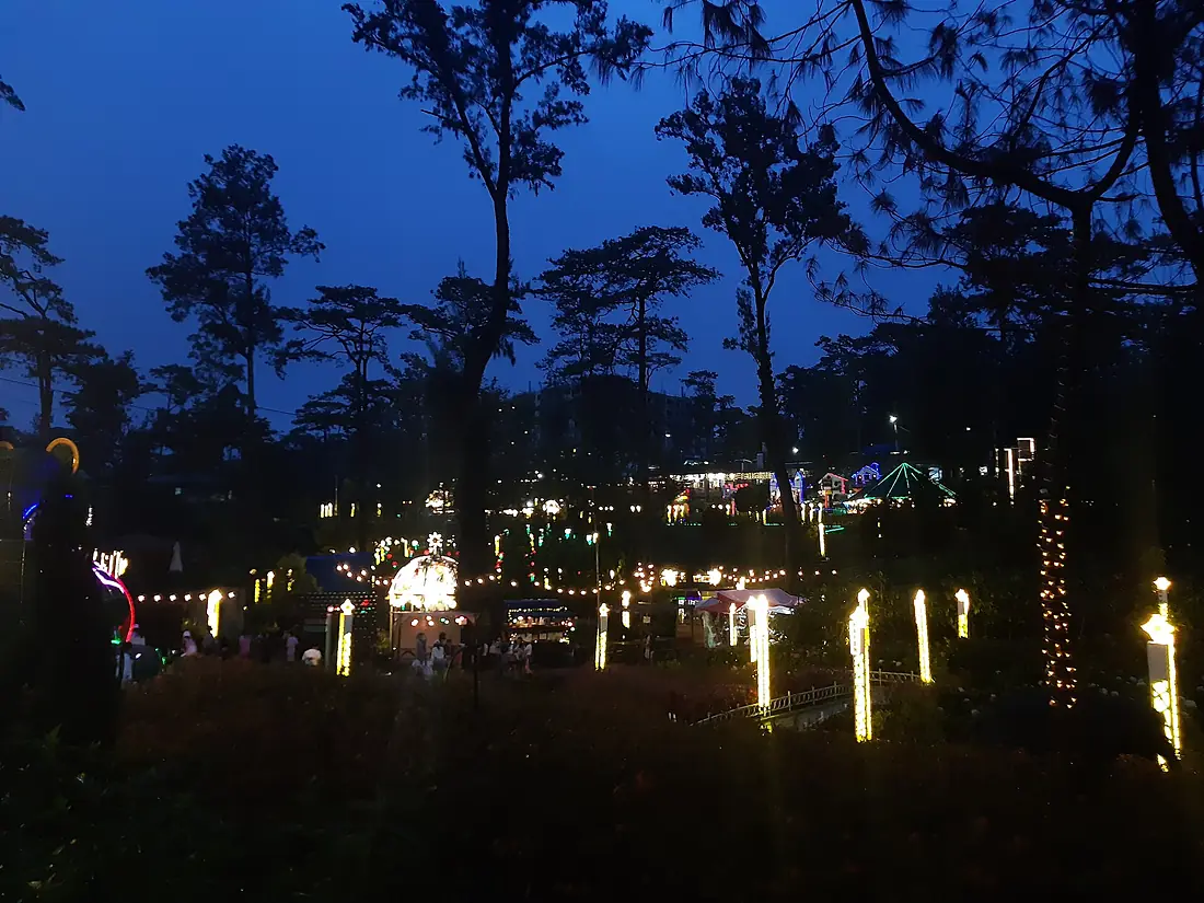 2025-01-03 - The Baguio Botanical Garden at night