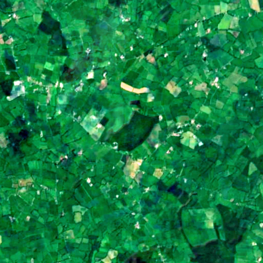Ballykeeffe Wood seen from above (Sentinel-2)