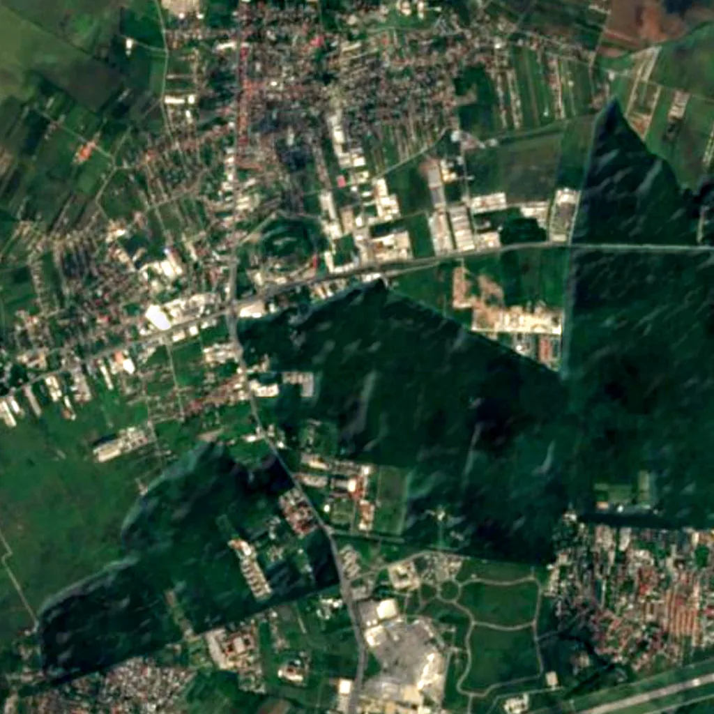 Băneasa Forest seen from above (Sentinel-2)