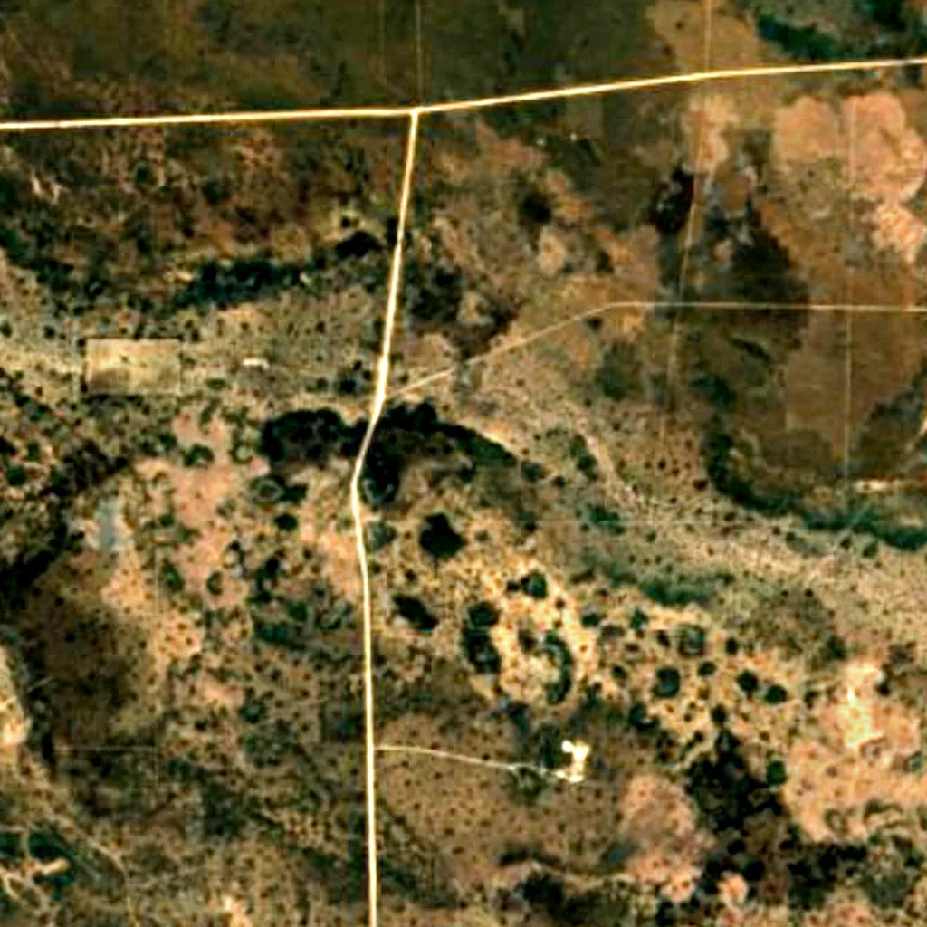 Baobab Tree (No 1063) seen from above (Sentinel-2)