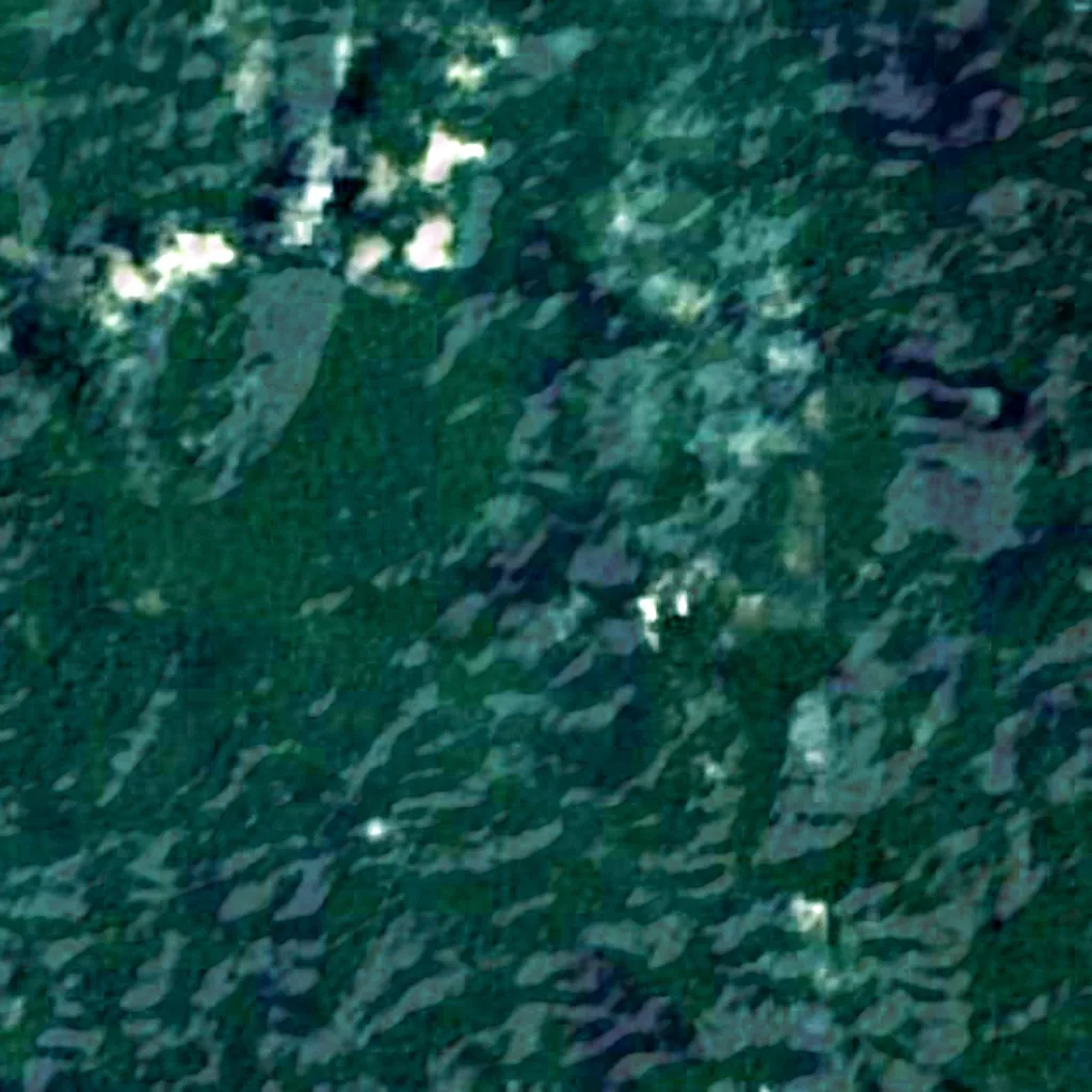 Batu Apoi Forest Reserve seen from above (Sentinel-2)