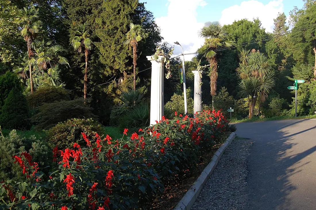 Batumi - Botanical Garden (9458281893)