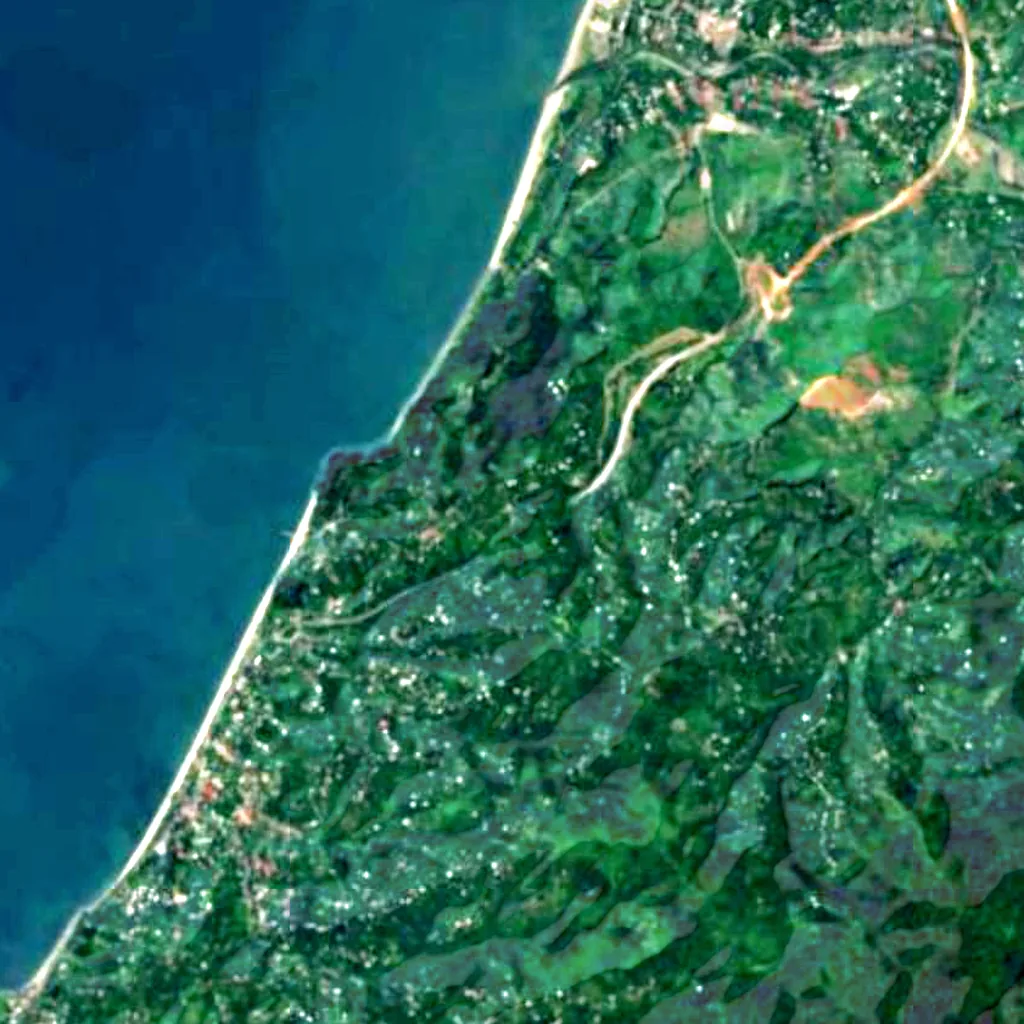 Batumi Botanical Garden seen from above (Sentinel-2)