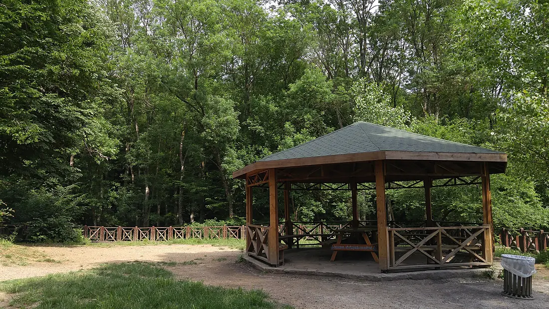 Belgrad Forest (1)