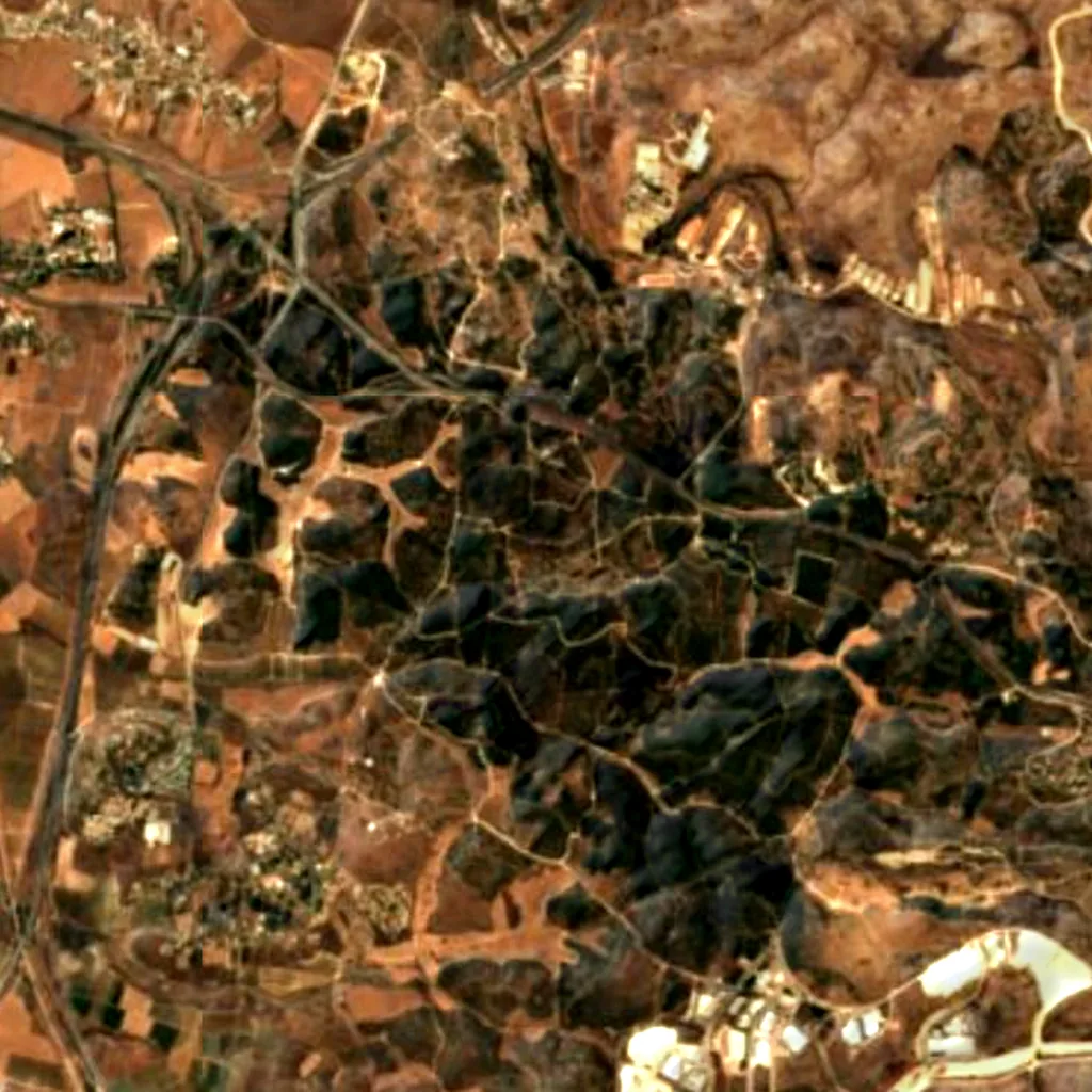 Ben Shemen forest seen from above (Sentinel-2)