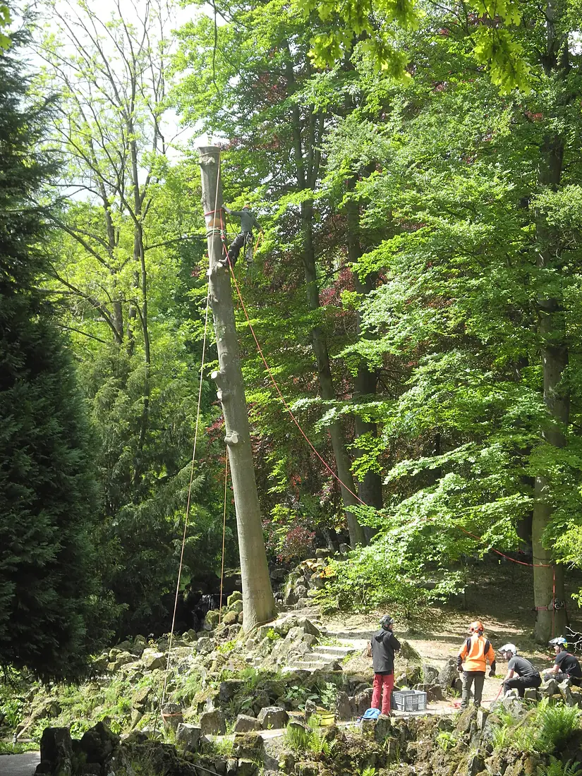 Bergpark Wilhelmshöhe - Parkpflege 2020-05-14