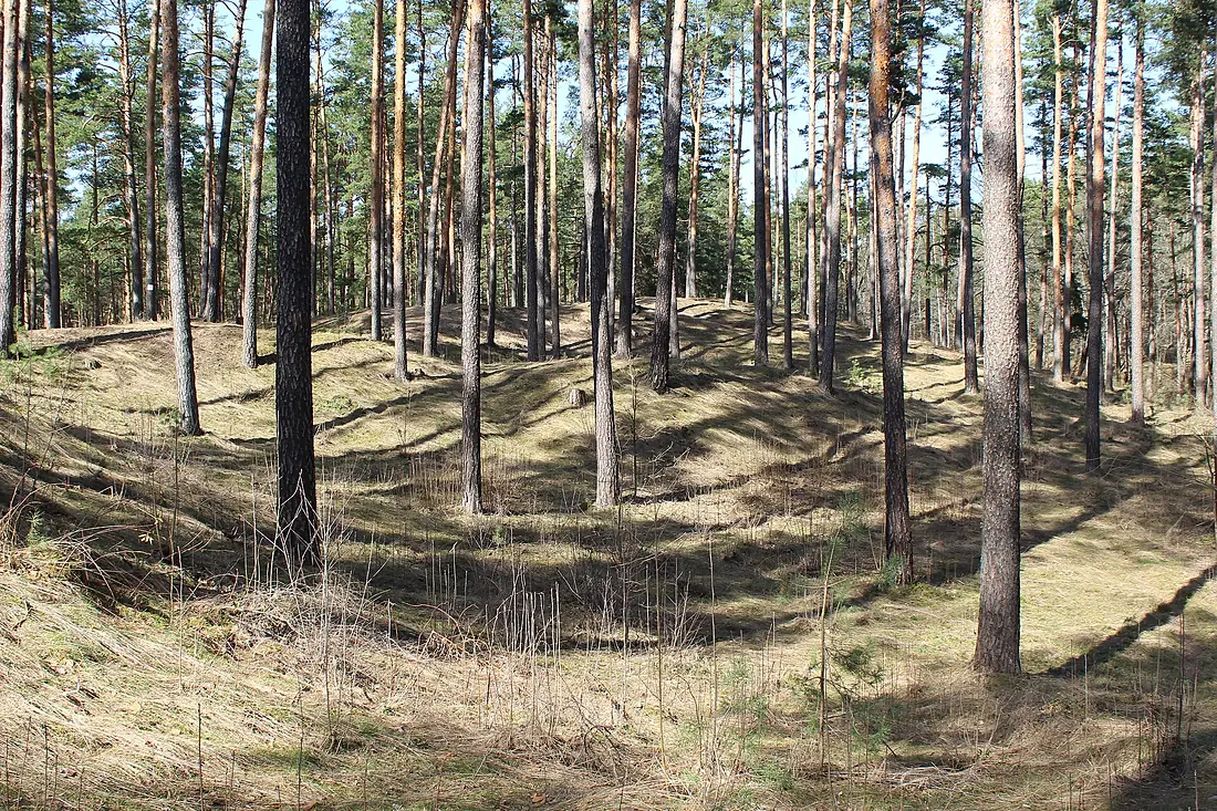 Bākas kalns (Lighthouse hill) in Biķernieki forest. (2)