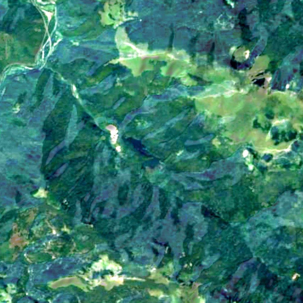 Biogradska Gora seen from above (Sentinel-2)