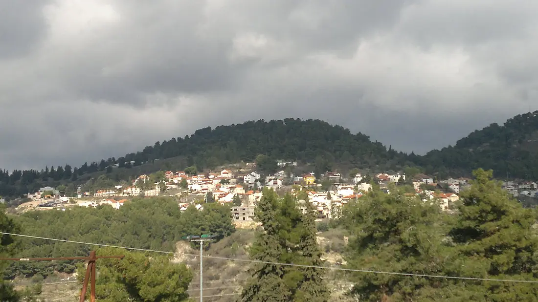 97771 birya forest PikiWiki Israel