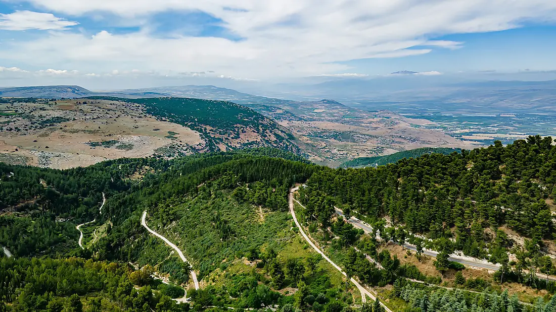 97777 biriya forest and the golan heights PikiWiki Israel