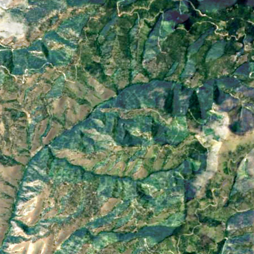 Bitterroot National Forest seen from above (Sentinel-2)