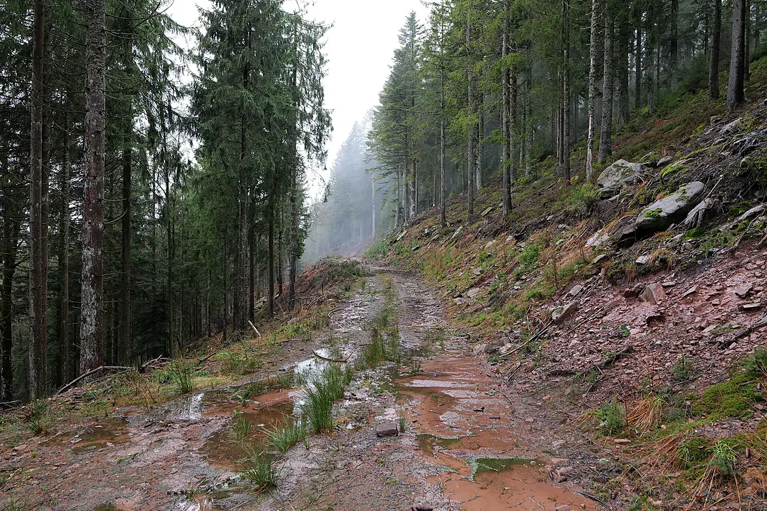 Panoramic trail - Northern Black Forest 03