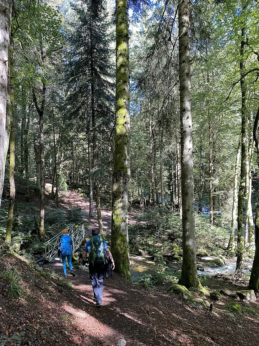 Hikers at Höllbach near Görwihl