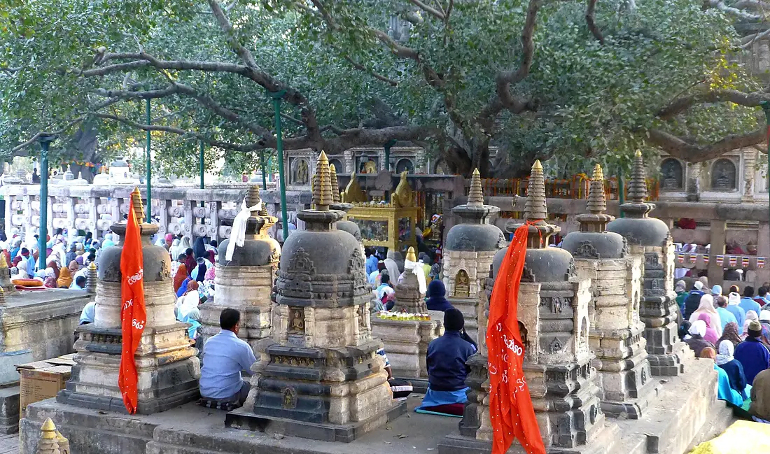 Bodhi Tree Distant View - panoramio