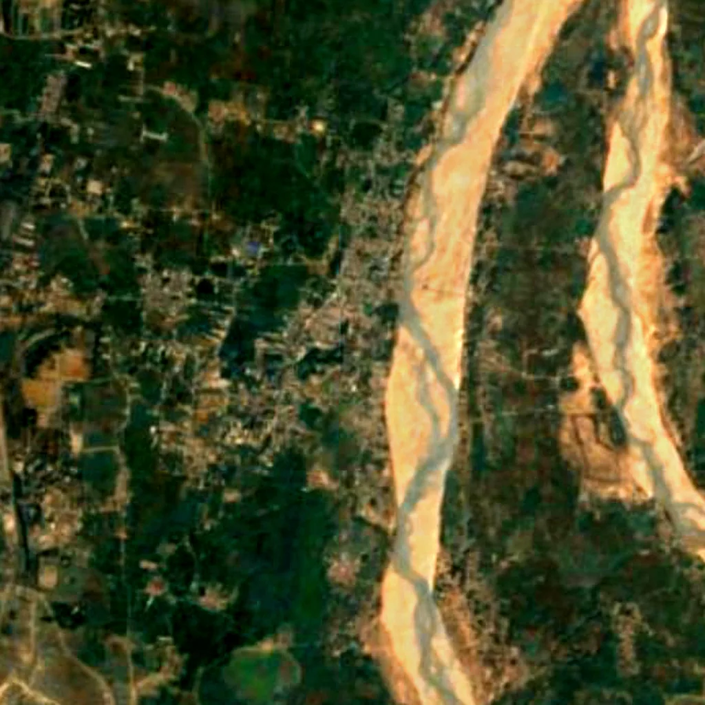 Bodhi Tree seen from above (Sentinel-2)