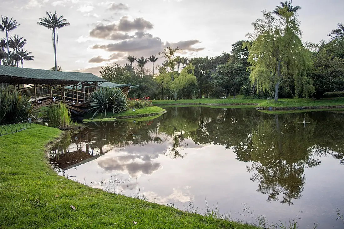 Jardín Botanico José Celestino Mutis