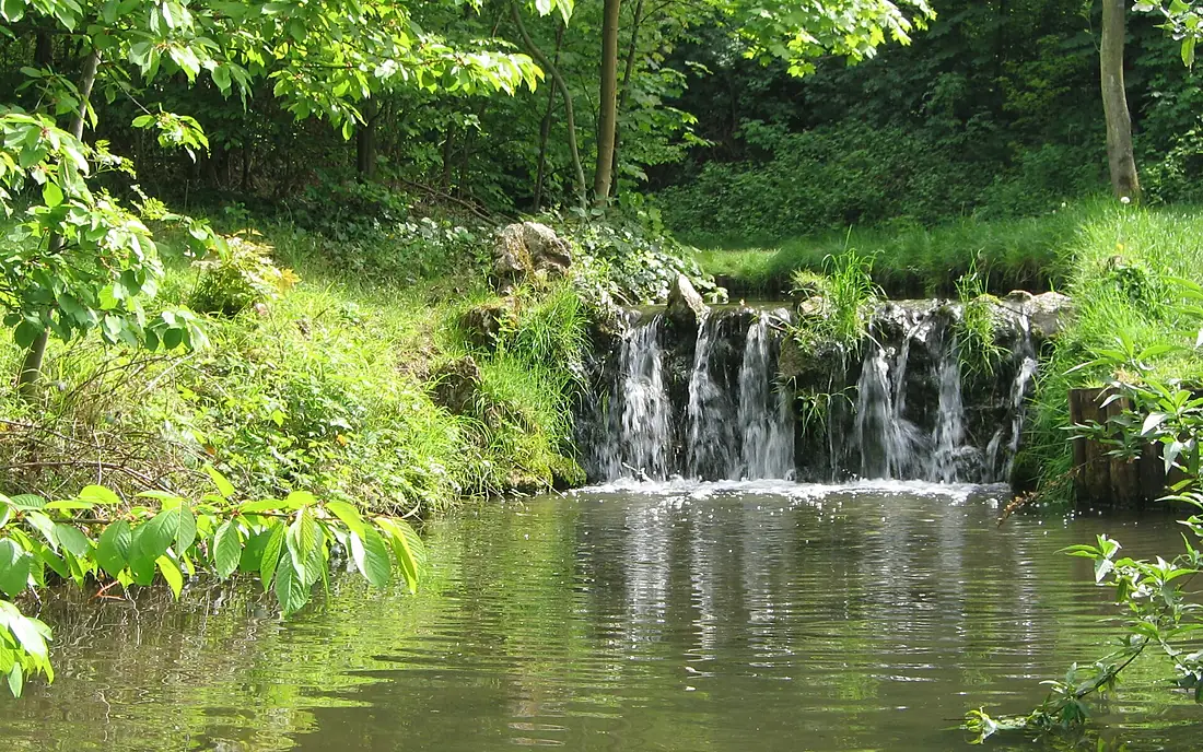 Bois de Vincennes printemps 2009 - 005