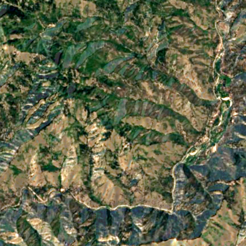 Boise National Forest seen from above (Sentinel-2)
