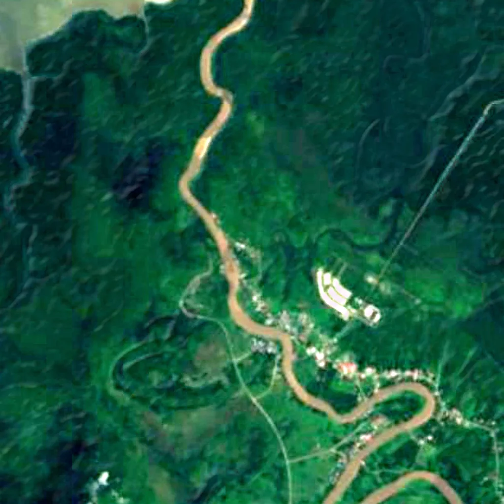 Borneo peat swamp forests seen from above (Sentinel-2)