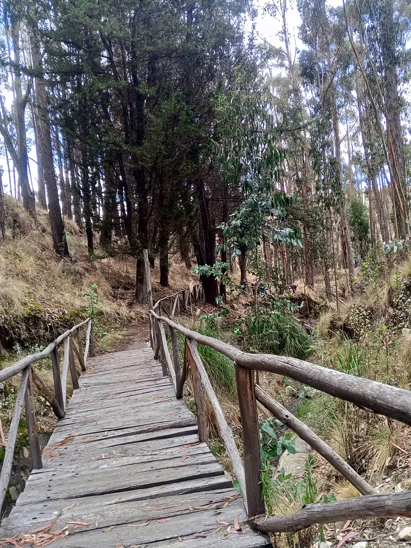 Camino de oxigenacion Area Protegida Pura Pura