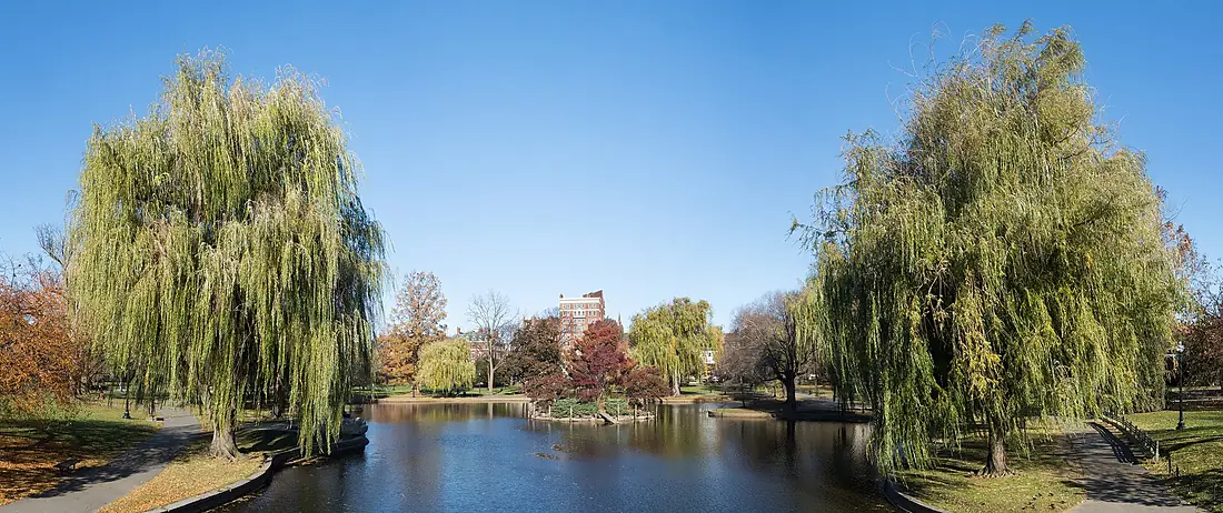 Boston Public Garden IMG 20180301 101718164