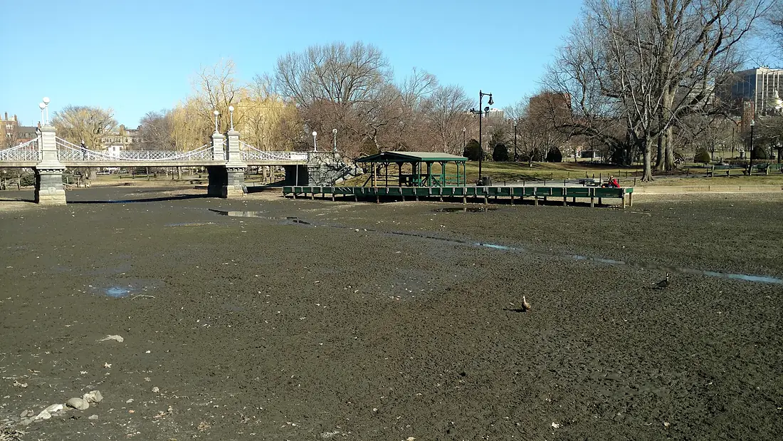 Boston Public Garden (36008p)